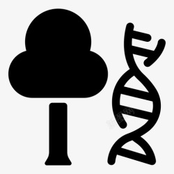 树木学树木学高清图片