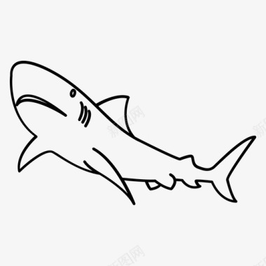 鲨鱼鱼渔夫图标