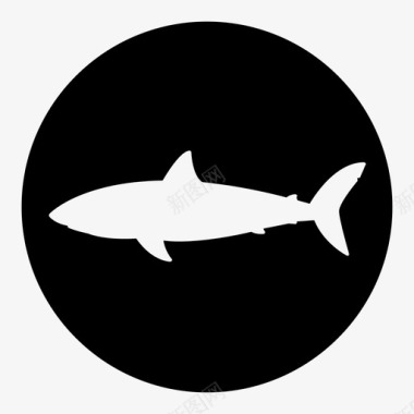 鲨鱼鱼渔夫图标