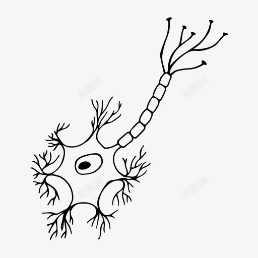 神经元生物学教育svg_新图网 https://ixintu.com 教育 教育学 学校 学习 神经元 生物学 科学 科学学