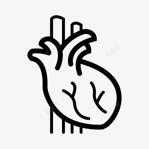 心脏病学解剖学心血管svg_新图网 https://ixintu.com 心脏 人体 器官 心脏病 病学 解剖学 心血管 疾病