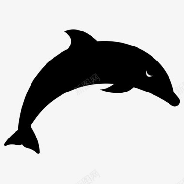 海豚水生动物海洋动物图标