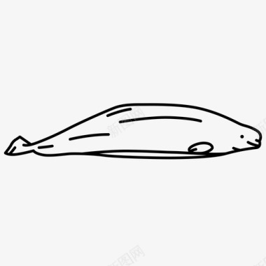 白鲸鱼类哺乳动物图标