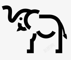 科长大象动物象甲科高清图片