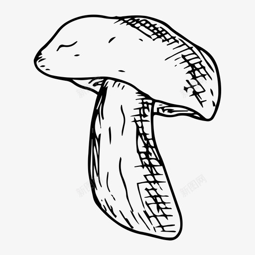 cepe食品森林svg_新图网 https://ixintu.com 蘑菇 食品 森林 手绘 素描