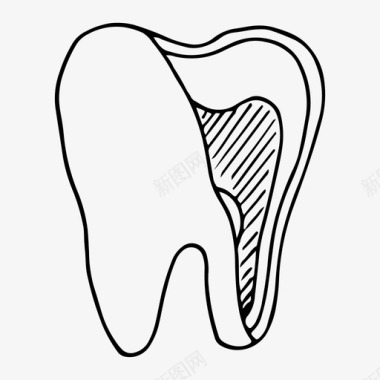 牙齿结构牙齿护理牙医图标
