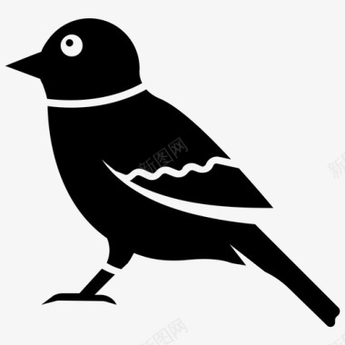 麻雀动物鸟图标