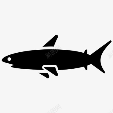 鲨鱼鱼海洋动物图标