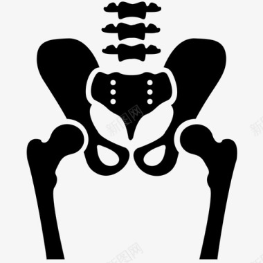 骨盆骨骼身体部分人体解剖学图标