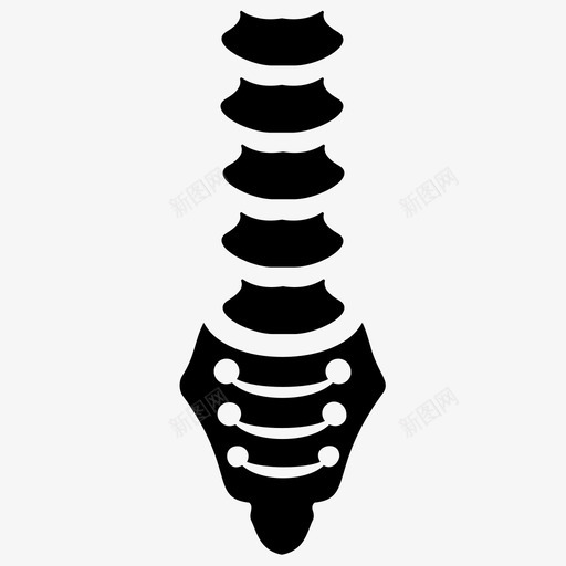 脊髓人体解剖学人体脊柱svg_新图网 https://ixintu.com 脊柱 脊髓 人体 骨科 解剖学 字形 图标