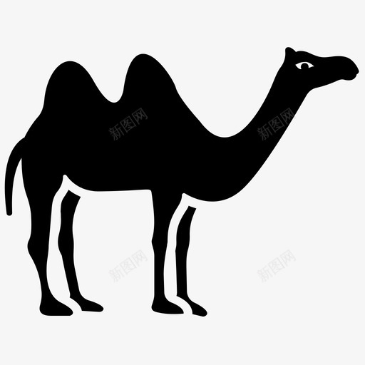 骆驼动物牛svg_新图网 https://ixintu.com 动物 骆驼 沙漠 野生动物 字形 图标