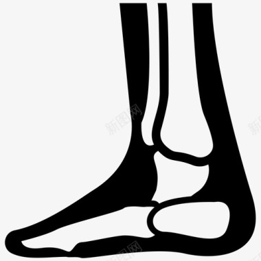 脚骨身体部位关节疼痛图标