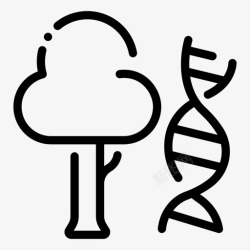 树木学科学树木学dna叶子高清图片
