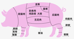 猪肉分割图展板猪肉分割图部位图高清图片