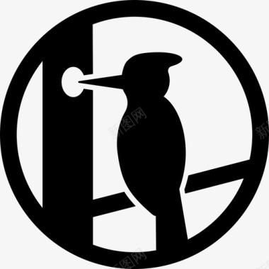 啄木鸟动物喙图标