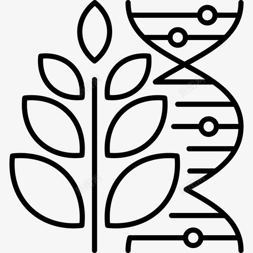 农业科学生物植物学svg_新图网 https://ixintu.com 农业科学 生物 植物学