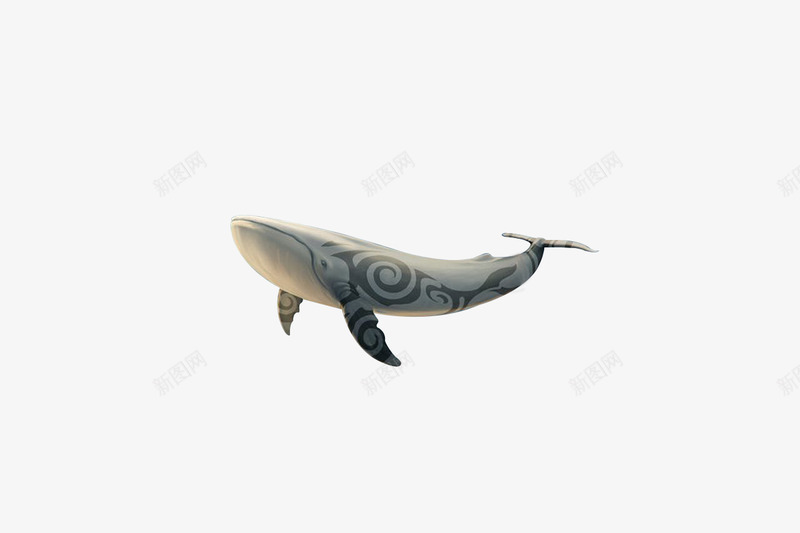 鲸鱼插画2png免抠素材_新图网 https://ixintu.com 鲸鱼 插画