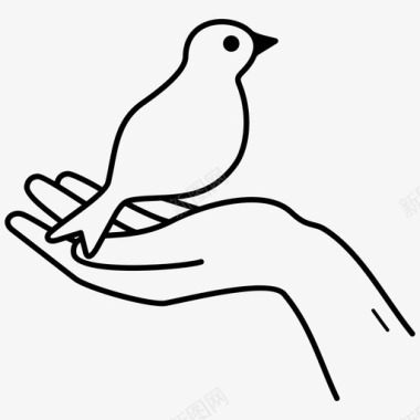 手与鸟鸽子自由图标