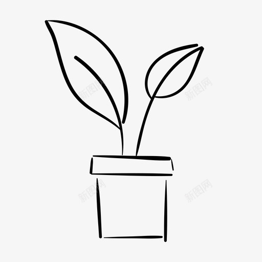 盆栽植物绿叶植物手绘svg_新图网 https://ixintu.com 植物 盆栽 绿叶 手绘 家居装饰 室内 叶菜