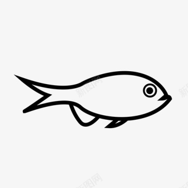 鱼水产养殖水族馆图标