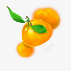 橘子中的焦点橘素材