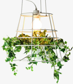 植物盆栽吊灯素材