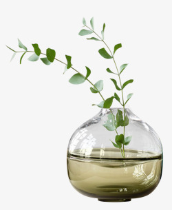 植物玻璃瓶素材
