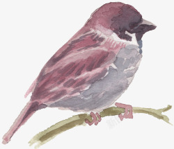 小清新手绘彩绘文艺植物春季花鸟类燕子水彩设计素材