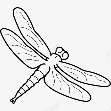 掠食蜻蜓阿拉斯加州昆虫图标