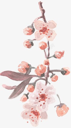 小清新手绘彩绘文艺植物春季花鸟类燕子水彩设计素材