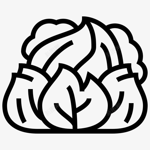 卷心菜农业营养svg_新图网 https://ixintu.com 蔬菜 卷心菜 农业 营养 有机 蔬菜生产 生产线