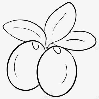 爪哇李子健康水果天然水果图标
