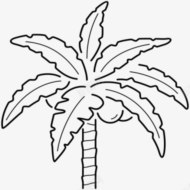 椰子树山毛榉树棕榈树图标