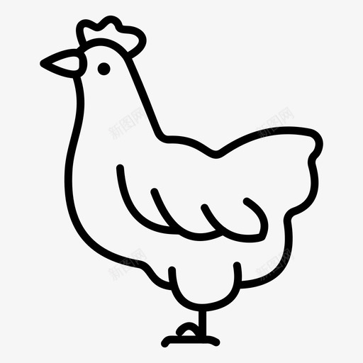 鸡鸟家禽svg_新图网 https://ixintu.com 农业 鸡鸟 家禽 公鸡 园艺 概述 向量 图标