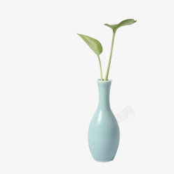 一只vase素材