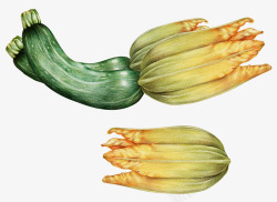 菜市场的西兰花水彩包装平铺菜市场菜椒番茄西兰花蔬菜PS高清图片