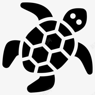 海龟两栖动物乌龟图标