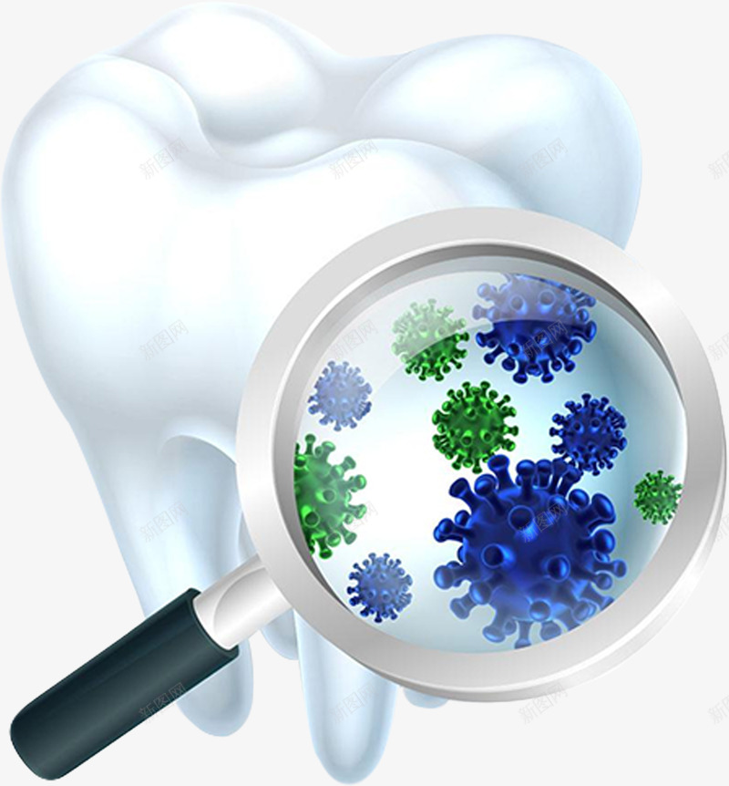 牙齿牙菌png免抠素材_新图网 https://ixintu.com 牙齿 牙菌