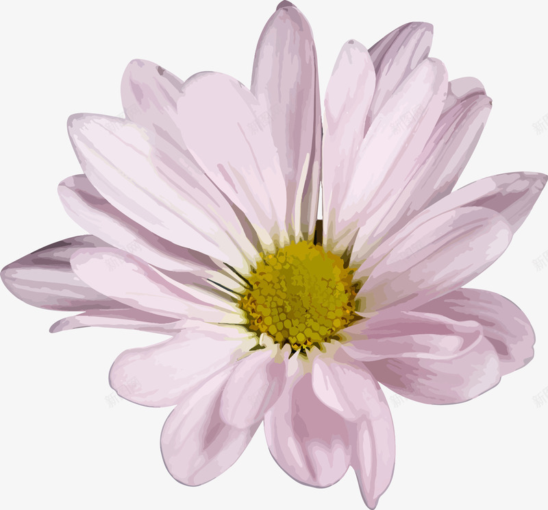 唯美森系优雅写实花卉花朵叶子卡片图案AI矢量卡片请png免抠素材_新图网 https://ixintu.com 卡片 唯美 森系 优雅 写实 花卉 花朵 叶子 图案 矢量
