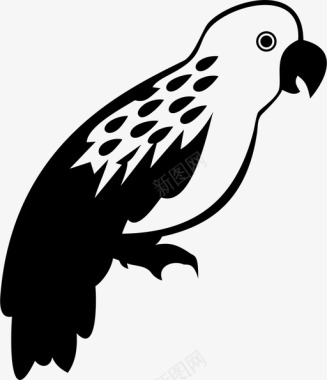 鹦鹉鸟宠物鸟图标