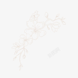 手绘樱花免扣墨水钢笔花卉插画典雅装饰包装设计图形素材