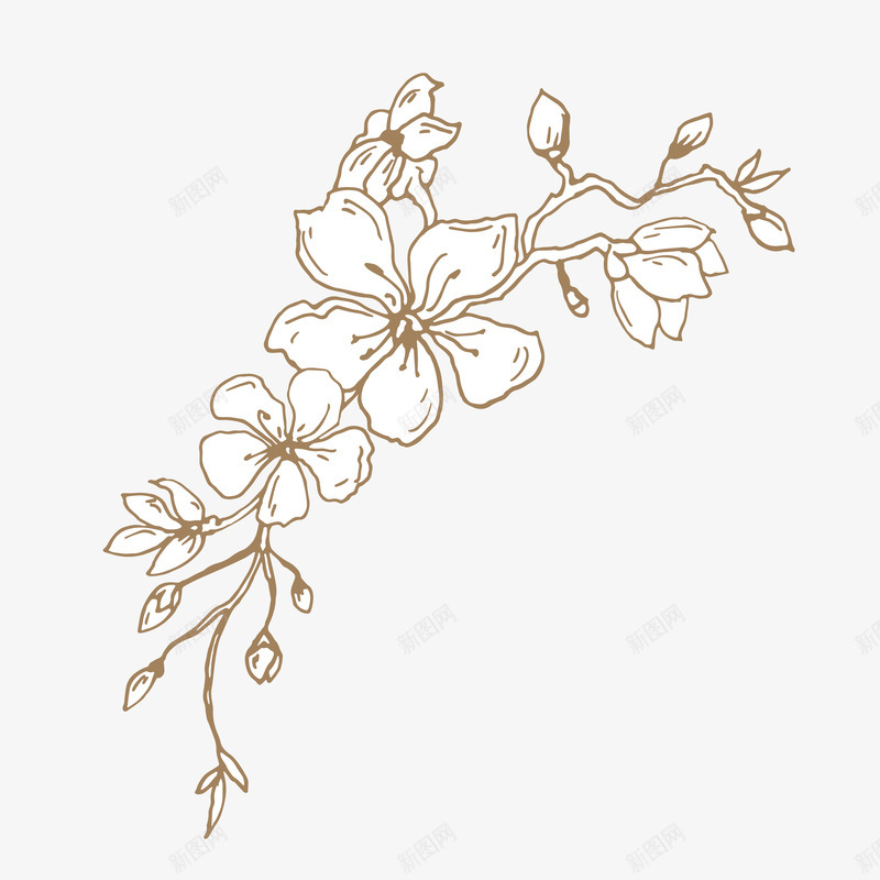 手绘樱花免扣墨水钢笔花卉插画典雅装饰包装设计图形png免抠素材_新图网 https://ixintu.com 手绘 樱花 免扣 墨水 钢笔 花卉 插画 典雅 装饰 包装设计 图形