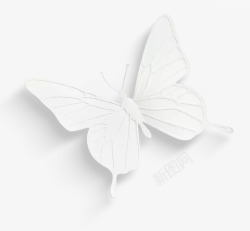 白色纸雕蝴蝶素材