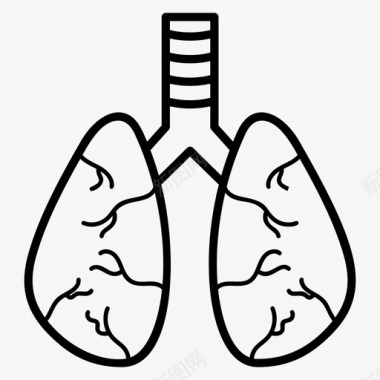 肺支气管人体器官图标