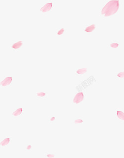 粉红花瓣花瓣飘浮模板素材