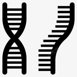 DNA转录RNA病毒dna或rna遗传学基因组学高清图片