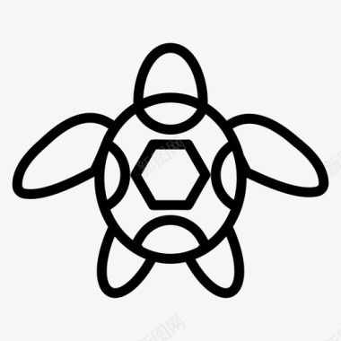 海龟海洋动物乌龟图标