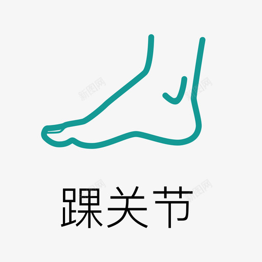 踝关节svg_新图网 https://ixintu.com 踝关节