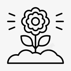 绿化室内装饰花卉花园绿化高清图片