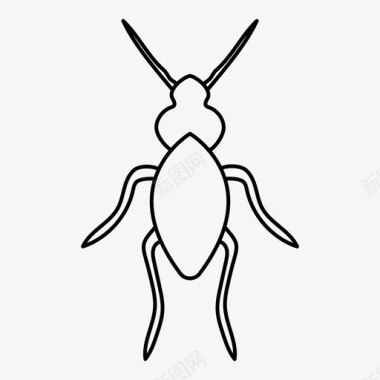 甲虫虫子森林图标